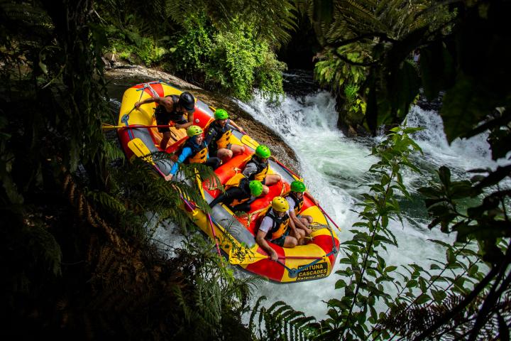a man riding on the back of a boat next to a forest