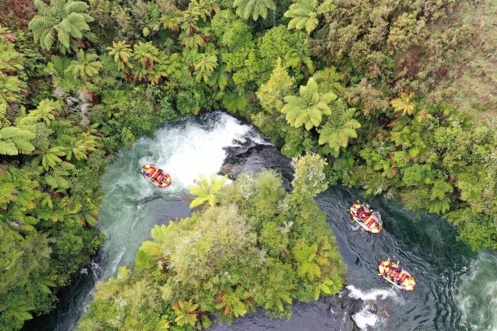 a river running through a forest
