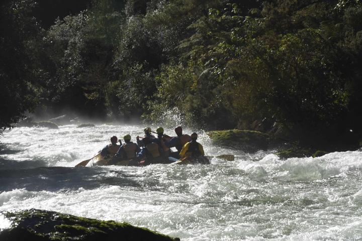 a man riding a horse in a body of water